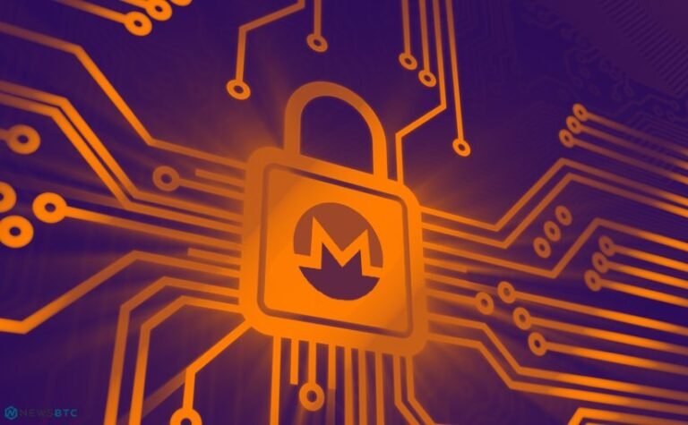 Exploring privacy in Monero transactions